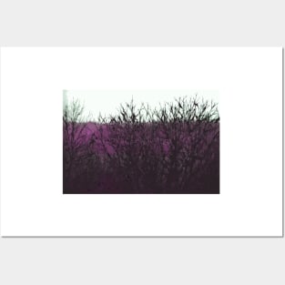 Purple Barren Branches Posters and Art